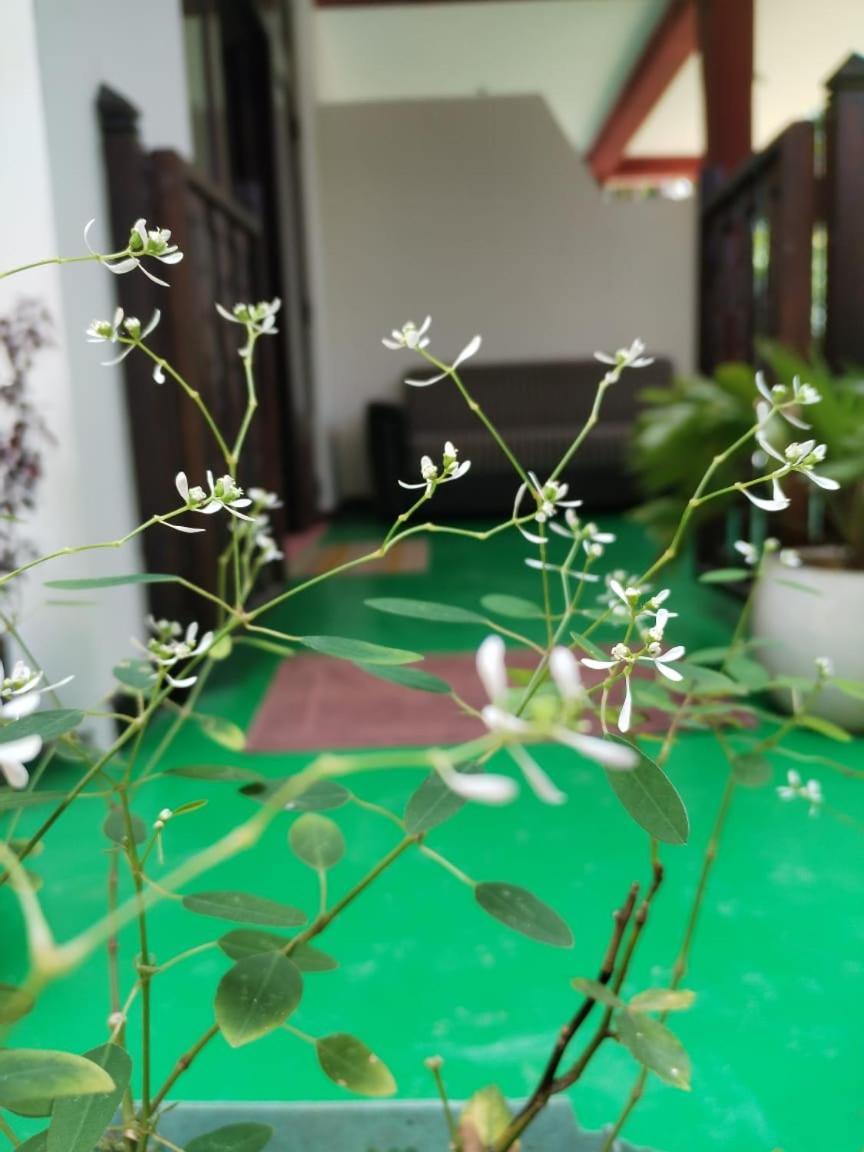 Ella Shali'S Home 외부 사진